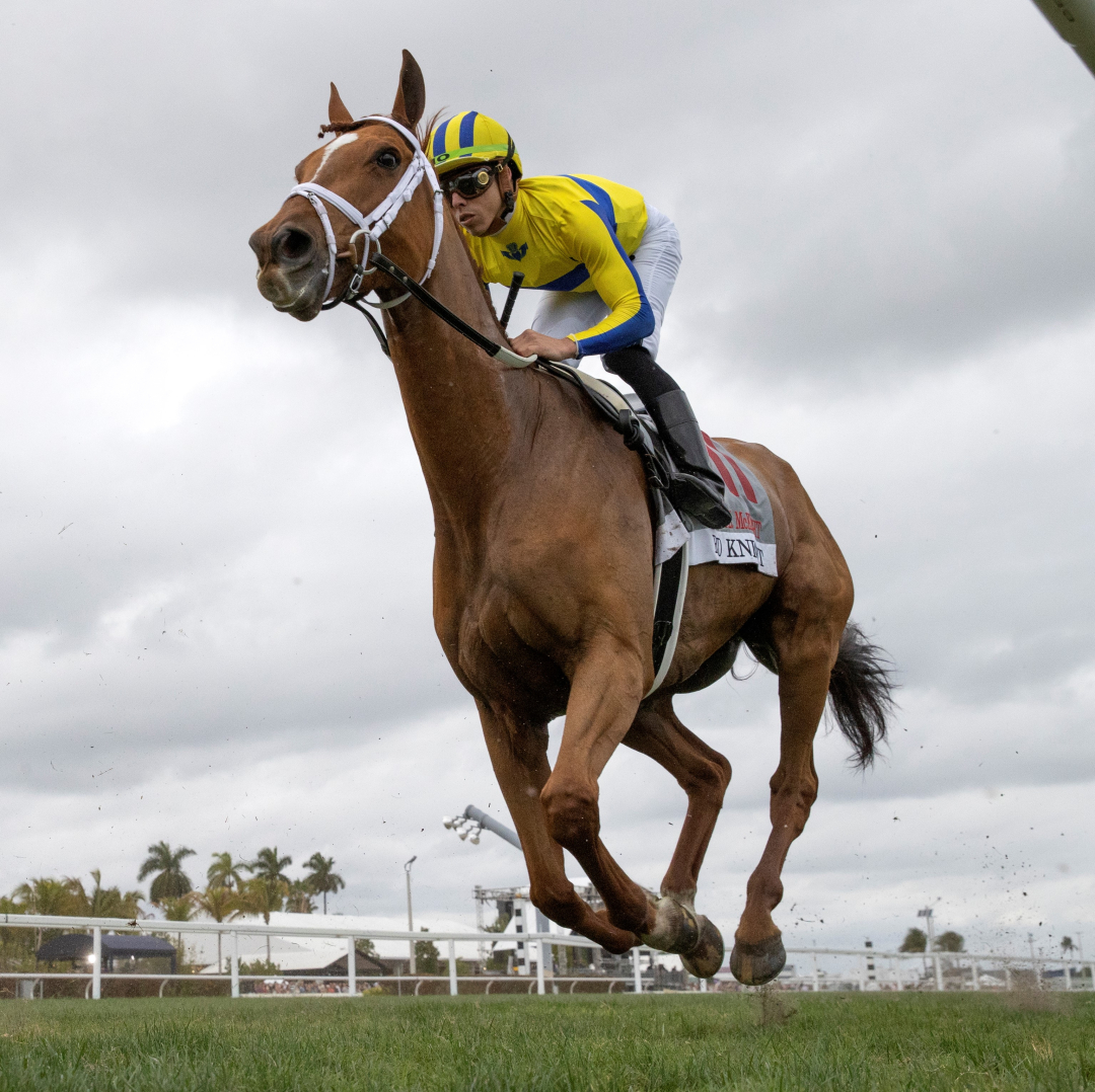 Red Knight wins the William L. McKnight at GP Jan 28 2023