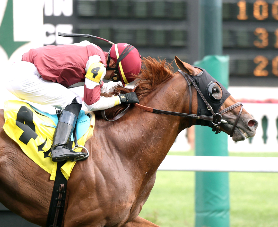 Rebel Red wins Chorleywood at CD June 14 2025