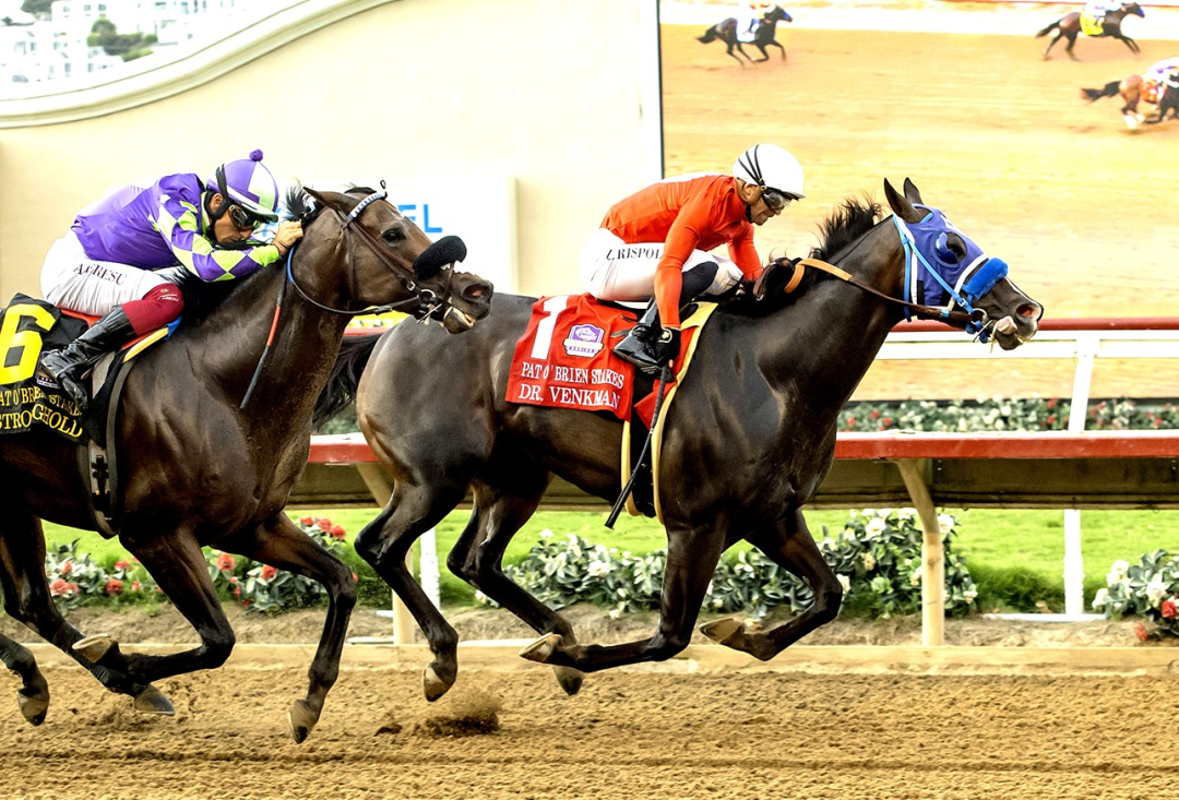Dr. Venkman wins Pat O'Brien at DMR Aug 23 2025