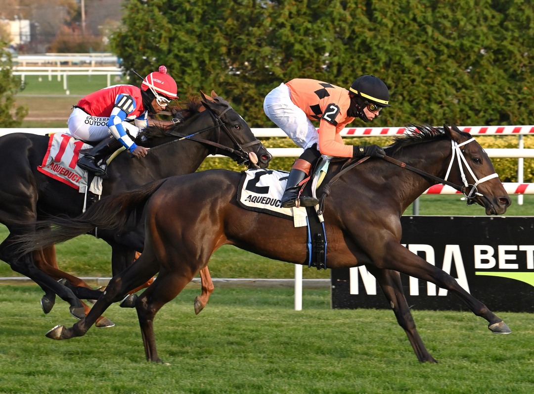Map of the Moon wins Stewart Manor at AQU Nov 7 2025