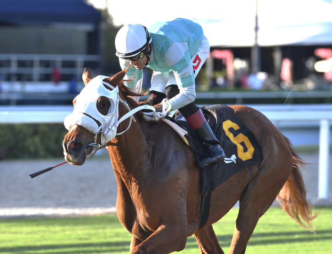 Crafty Collector wins Cellars Shiraz at GP Oct 31 2025